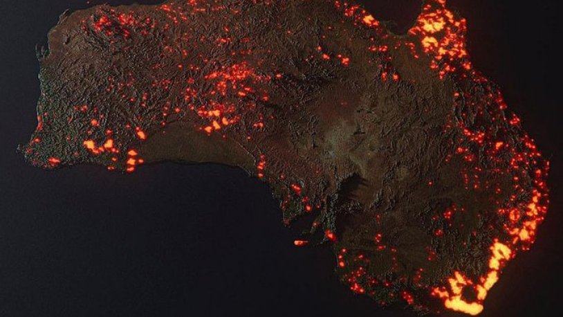 Avustralya yanıyor... '480 milyon hayvan ölmüş olabilir'