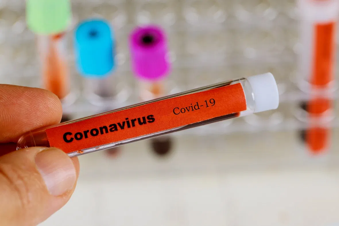 Avusturya ve Hırvatistan ilk koronavirüs vakalarını onayladı