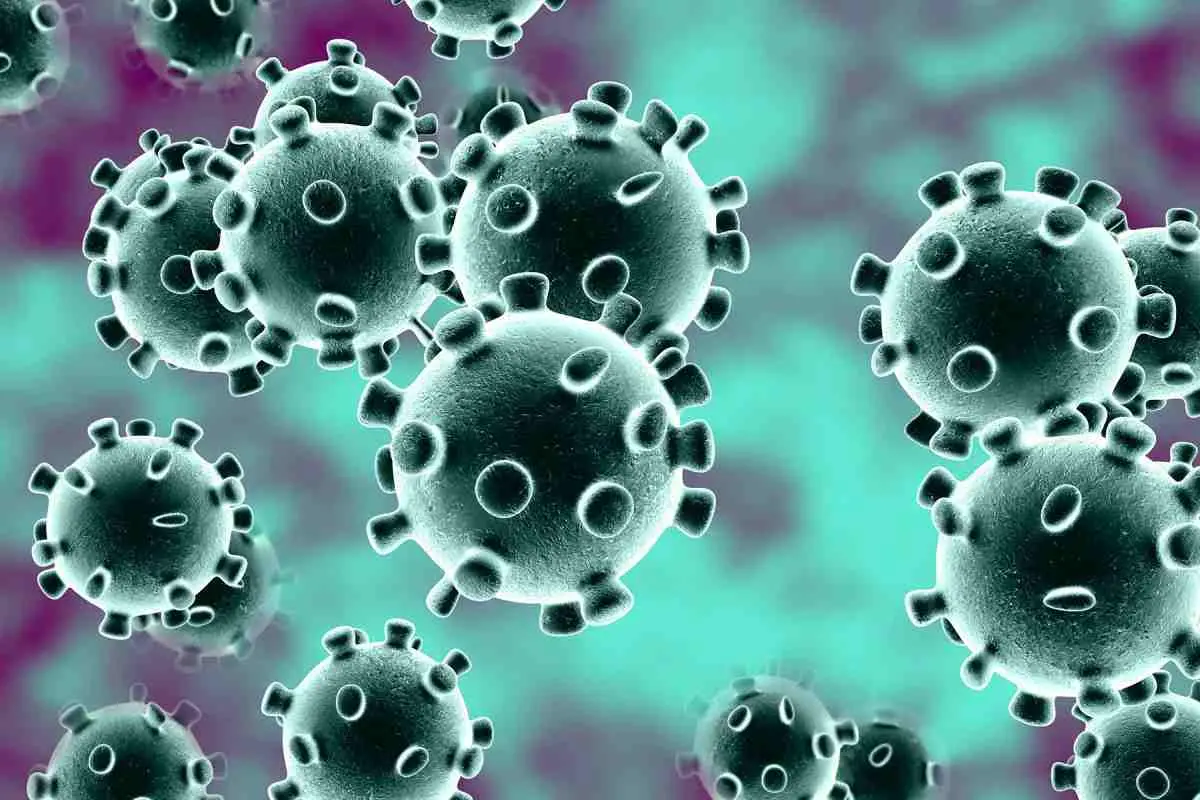 ABD'li uzmanlardan korkutan uyarı: Koronavirüs beyine hasar veriyor