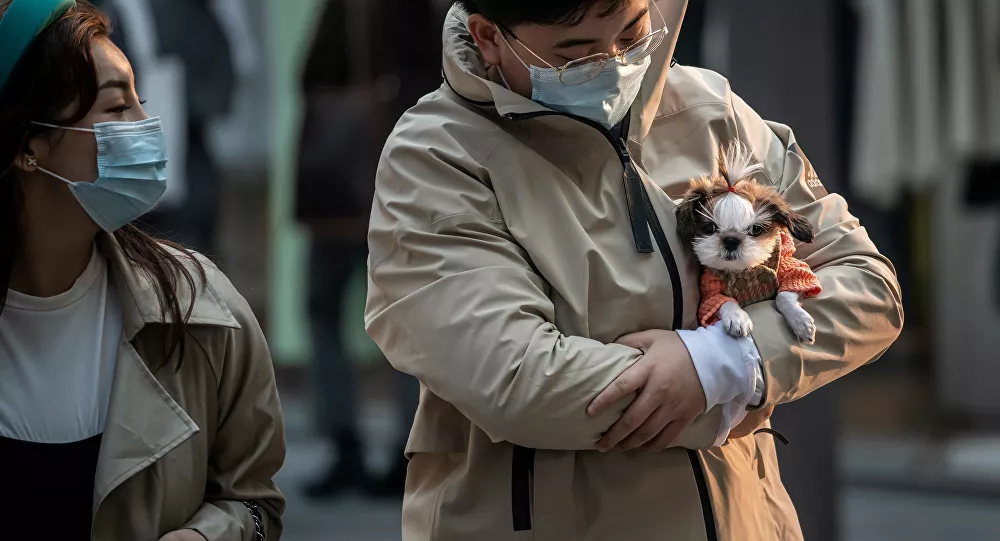 Çin'de köpek eti tüketimine yasak sinyali