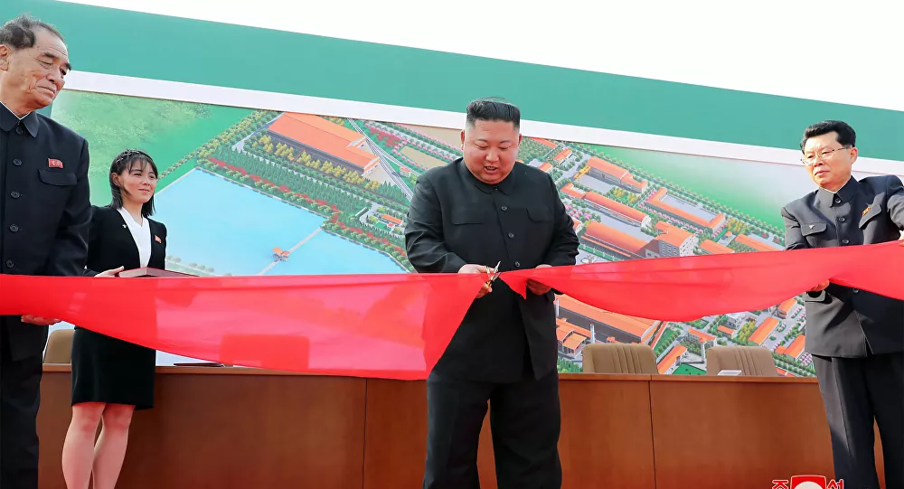 Kuzey Kore lideri Kim Jong-un için 'ya felç ya öldü' diyen iki firari vekilden biri özür diledi