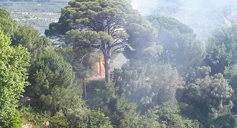 Kuşadası'ndaki orman yangını kontrol altına alındı