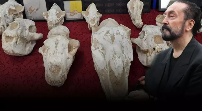 Adnan Oktar'ın evinde ele geçirilen milyonlarca liralık fosiller müzeye teslim edildi