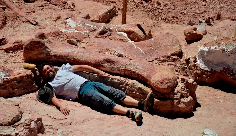 140 milyon yıllık 'titanozor' fosili bulundu: Türünün bilinen en eski örneği