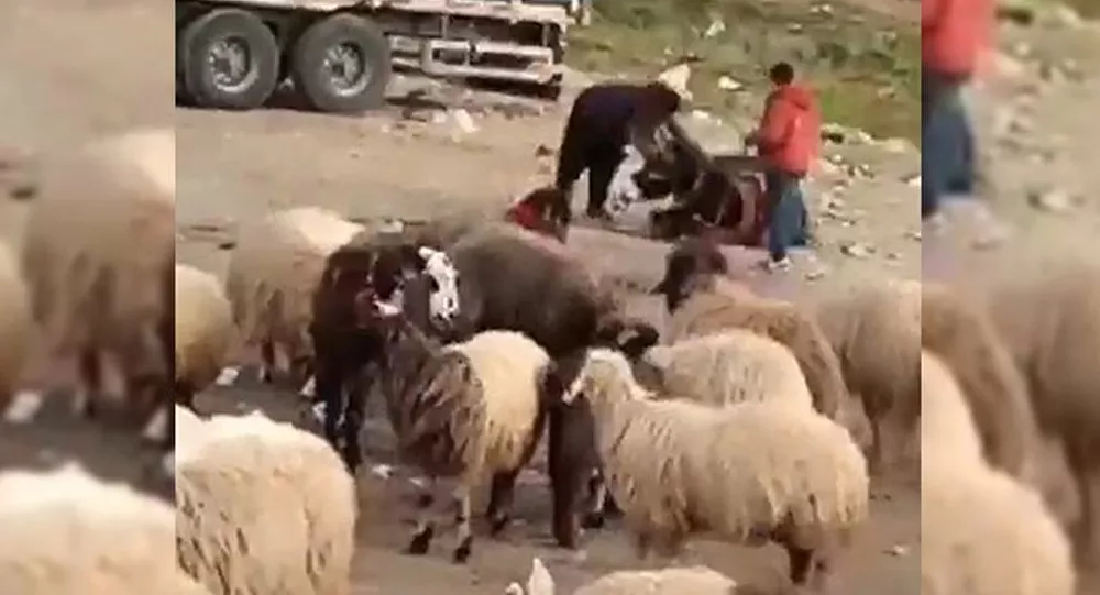 Eşeğini döven çobana 1033 lira para cezası verildi