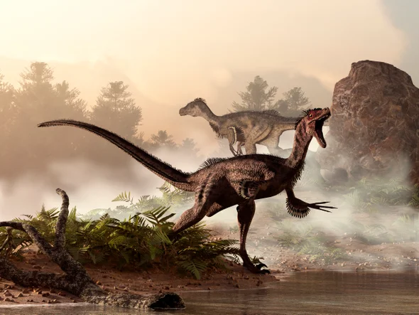 Çin'de 'bebek dinozora ait' bir ayak izi bulundu