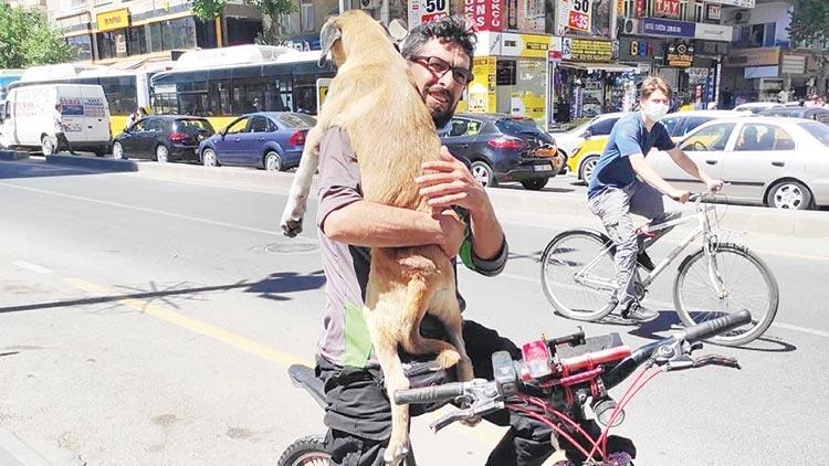 Yurttaş çareyi böyle buldu: Yaralı köpeği taksiler alamayınca bisiklet kiraladı