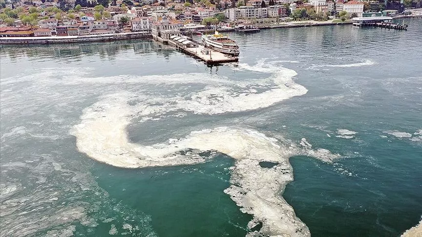 Müsilaj sorununa çözüm önerisi: Termik santral, liman gibi yeni projelere izin vermeyin, Kanal İstanbul'dan vazgeçin