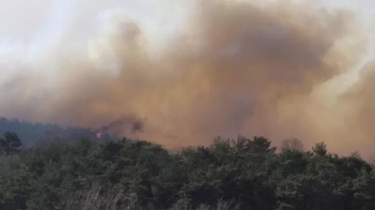İzmir'in ardından Çanakkale'de de orman yangını çıktı