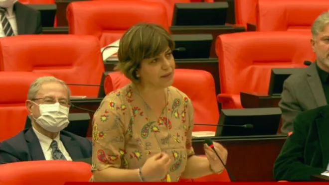 Meral Danış Beştaş, Leyla Güven'in 'yasaklı elbisesini' Meclis'te giydi