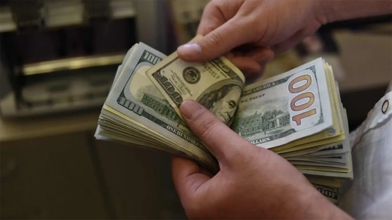 Merkez Bankası yıl sonu dolar kuru beklentisi yükseldi