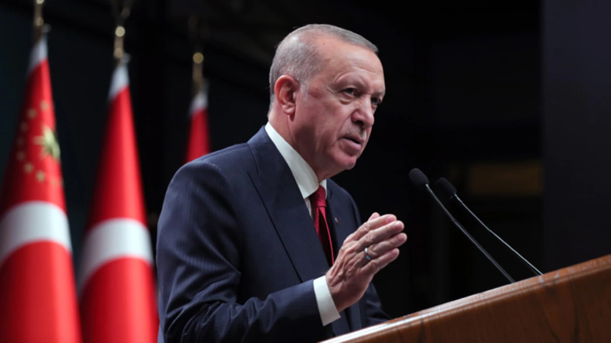 Erdoğan'ın yargı anlayışından bir kesit: 'Şöyle bir hafta nezarethanede kalsalar fena mı olurdu?'
