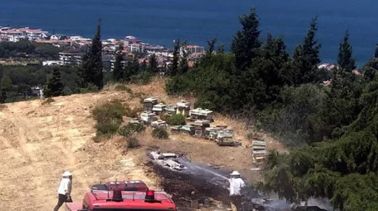 İzmir'de Milli Savunma Üniversitesi Kara Harp Okulu yakınlarında orman yangını