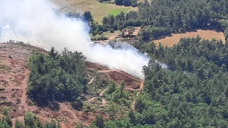 Marmaris'teki yangın devam ederken; Çanakkale'de de orman yangını çıktı