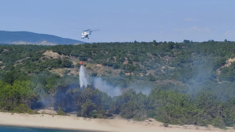 Çanakkale'de orman yangını