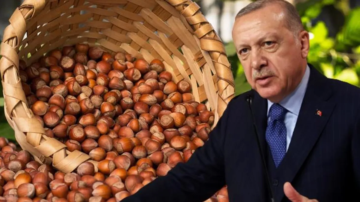 Fındık tekeli kendi fiyatını açıkladı, Erdoğan görmezden geldi!