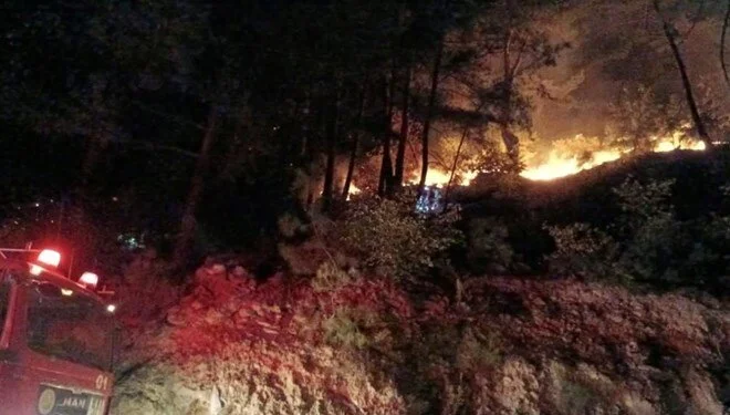 Osmaniye'deki orman yangını dördüncü günde kontrol altına alındı